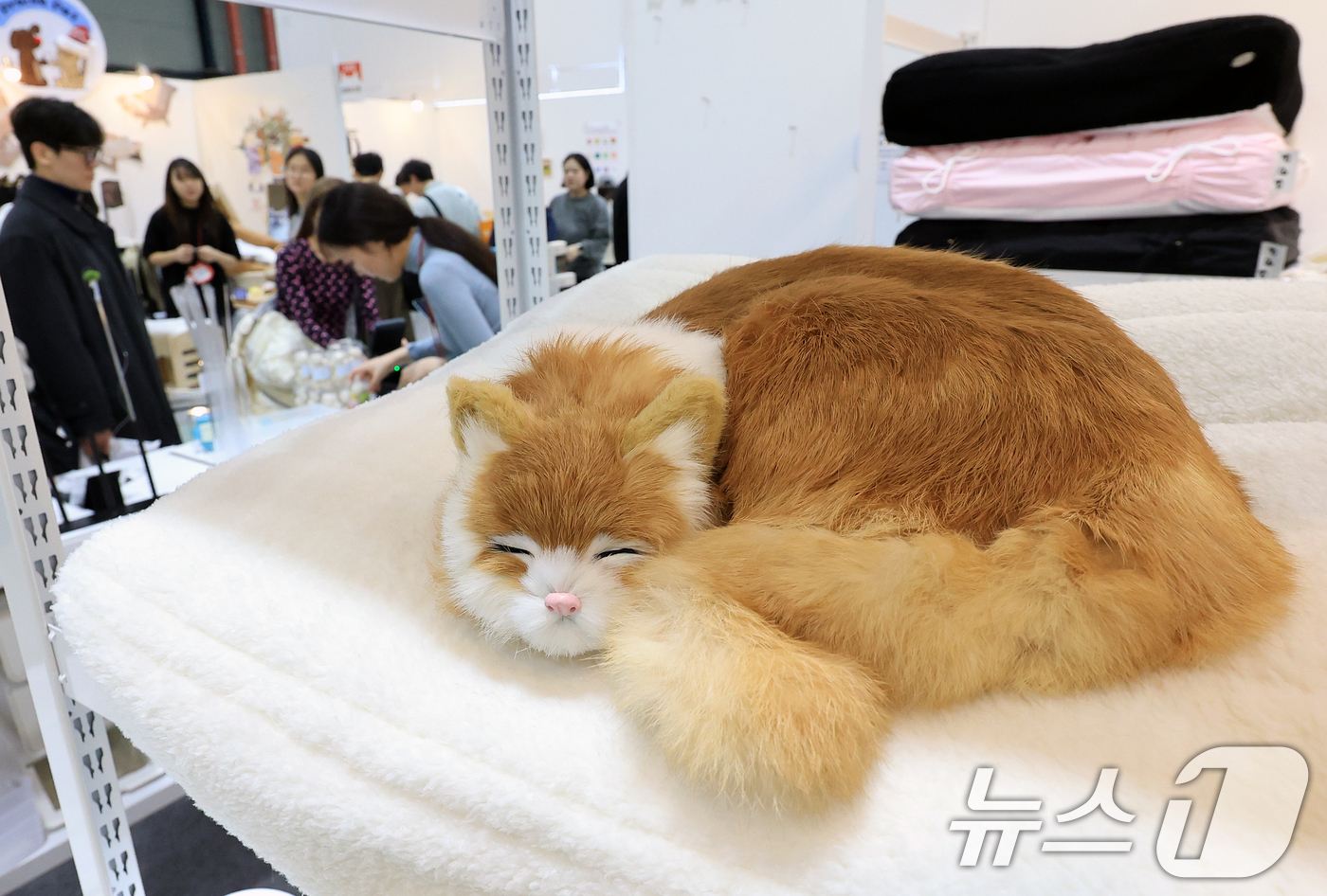 (서울=뉴스1) 이호윤 기자 = 7일 서울 강남구 SETEC(세텍)에서 열린 제35회 궁디팡팡 캣페스타를 찾은 관람객들이 부스를 둘러보고 있다. 2025.12.7/뉴스1