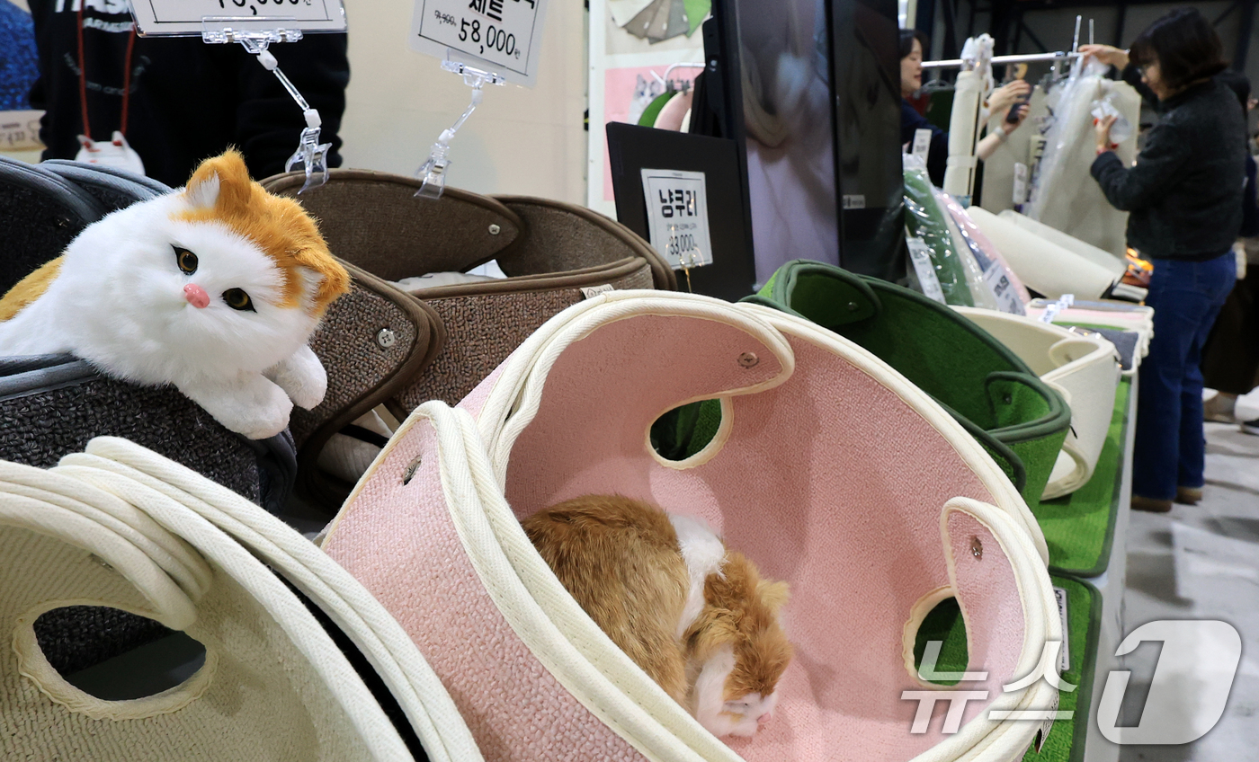 (서울=뉴스1) 이호윤 기자 = 7일 서울 강남구 SETEC(세텍)에서 열린 제35회 궁디팡팡 캣페스타를 찾은 관람객들이 부스를 둘러보고 있다. 2025.12.7/뉴스1