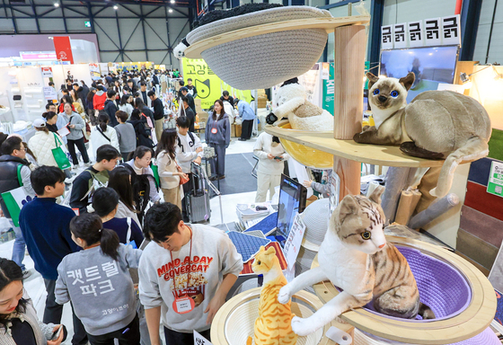 관람객들로 들끓는 궁디팡팡 캣페스타
