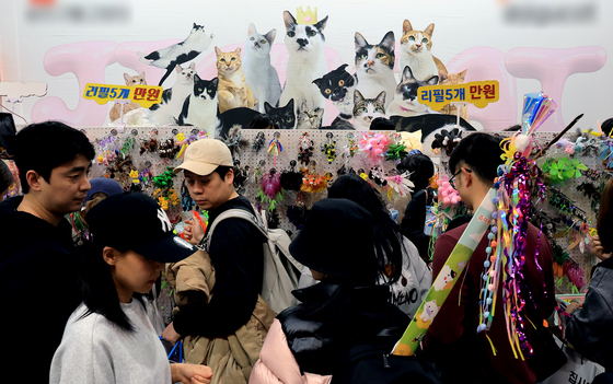 다양한 고양이 용품 만나보는 캣페스타