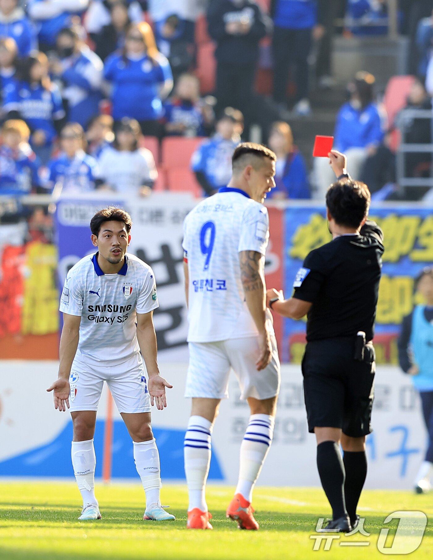 본문 이미지 - 7일 오후 제주 서귀포시 월드컵로 제주월드컵경기장에서 열린 하나은행 K리그 승강 플레이오프 2025 2차전 제주SK와 수원삼성의 경기에서 수원 이기제가 레드카드를 받고 있다. 2025.12.7/뉴스1 ⓒ News1 박정호 기자