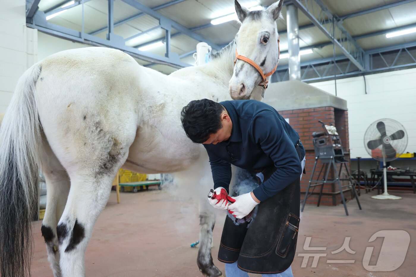 본문 이미지 - 오광석 장제교육생. &#40;한국마사회 제공&#41;