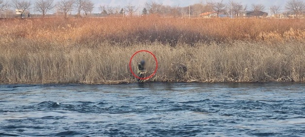 "걸어서 들어갔는데"…소양강 방류로 고립된 70대 낚시객 구조