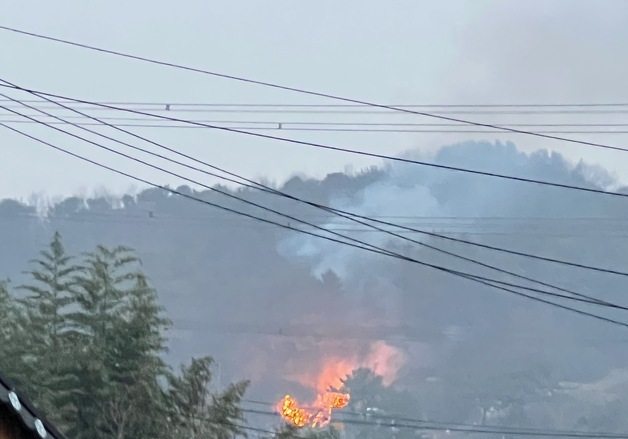 부여 임천면서 산불…1시간 8분 만에 진화(종합)