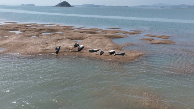 서산 가로림만, 국내 첫 '국가해양생태공원' 지정 눈앞