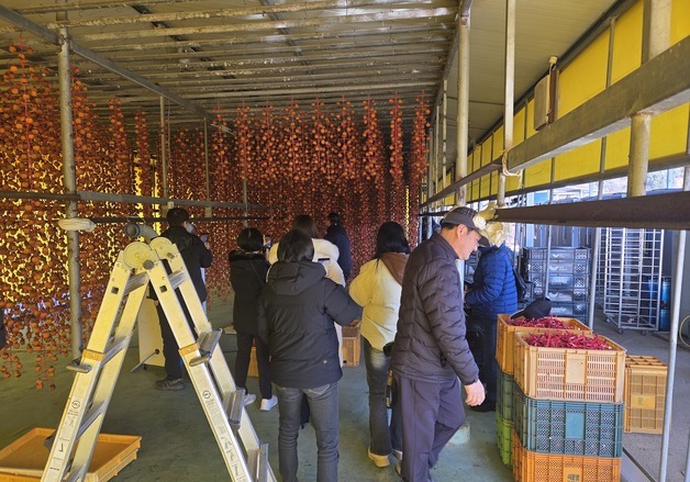 온라인 홍보단이 담은 논산 양촌의 겨울…'곶감축제' 알린다