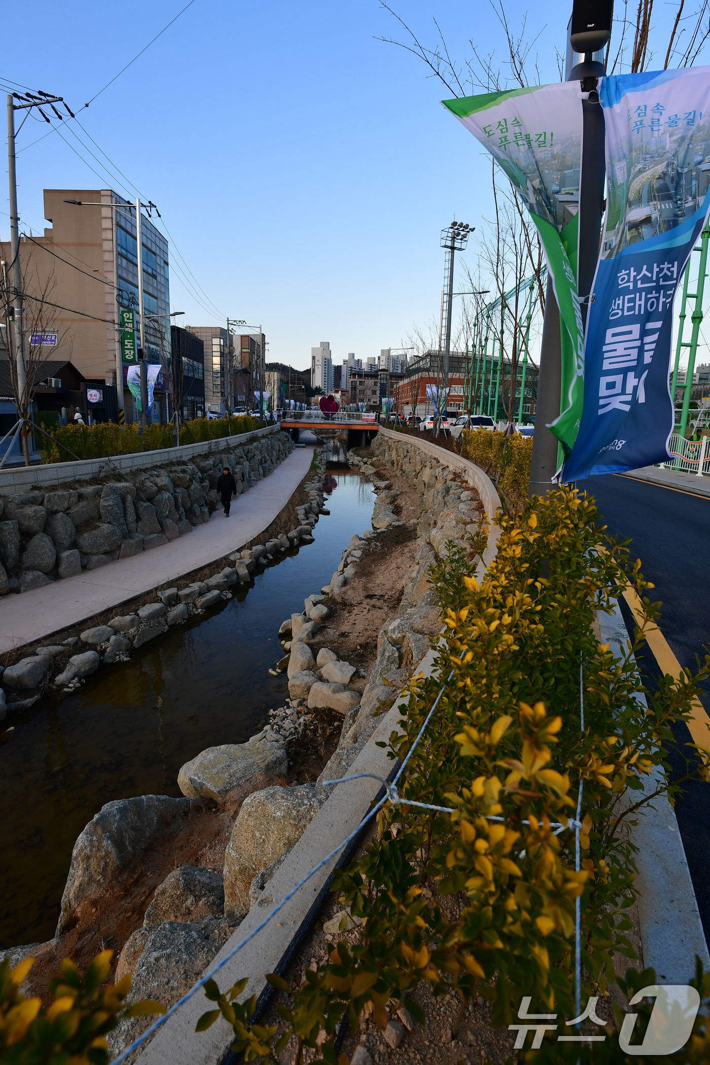 (포항=뉴스1) 최창호 기자 = 8일 경북  포항시가 공사에 착공한 지 5년 만에 북구 학산천 생태하천 물길을 연결한다.학산천 생태하천은 2020년 공사에 착공해 5년 만인 202 …