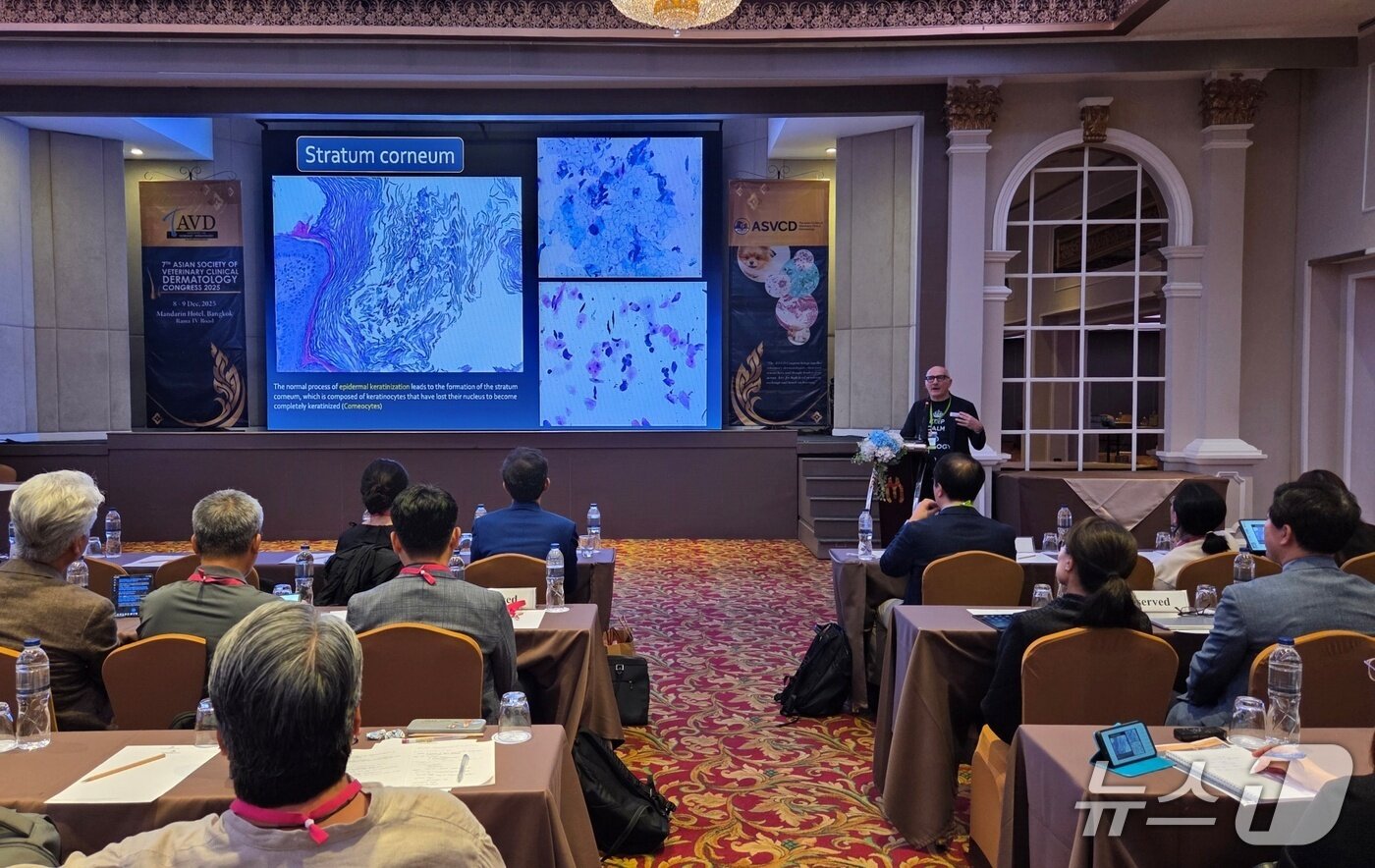 본문 이미지 - 프렌체스코 박사가 8일 태국 방콕에서 열린 &#39;제7회 ASVCD 콩그레스 2025&#39;에서 강의를 하고 있다. ⓒ 뉴스1