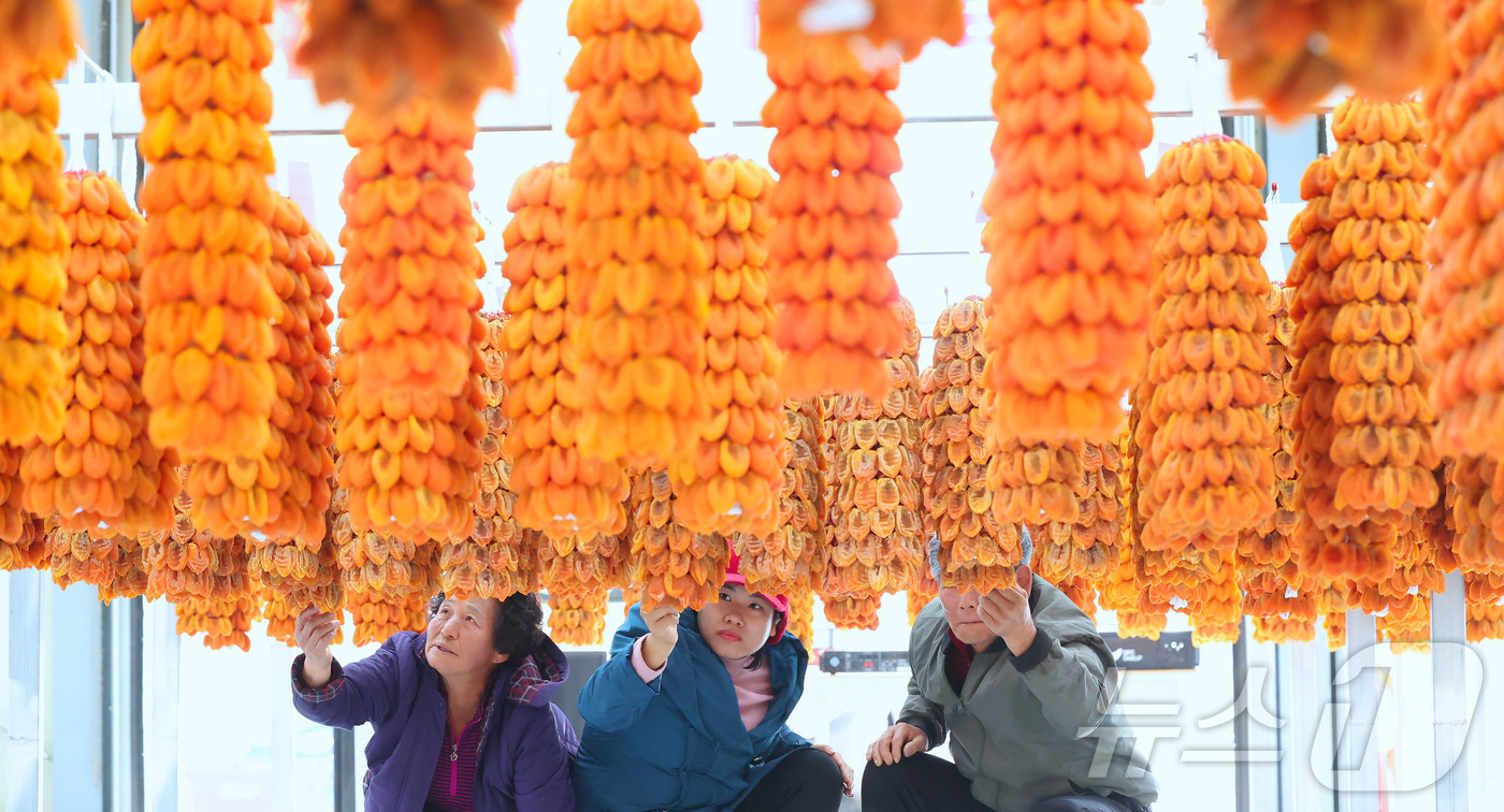 (서울=뉴스1) = 8일 경남 함양군 서하면 곶감경매장에서 ‘지리산 함양곶감’ 초매식이 진행되고 있다. (함양군 제공. 재판매 및 DB금지) 2025.12.8/뉴스1