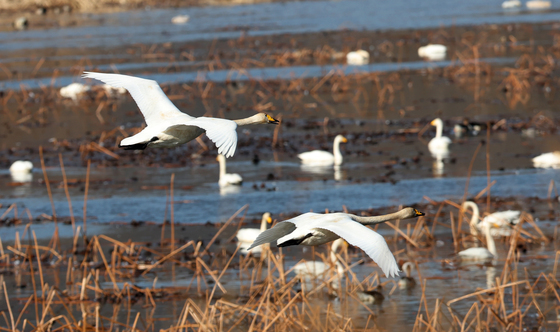 [오늘의 날씨] 충북·세종(19일, 금)…낮 최고 13도, 영상권