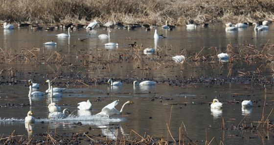 [오늘의 날씨] 울산(17일, 수)…오후부터 맑음, 일교차 커
