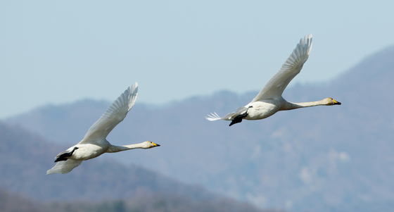 [오늘의 날씨] 울산(9일, 화)…대기 건조, 아침 기온 영하권