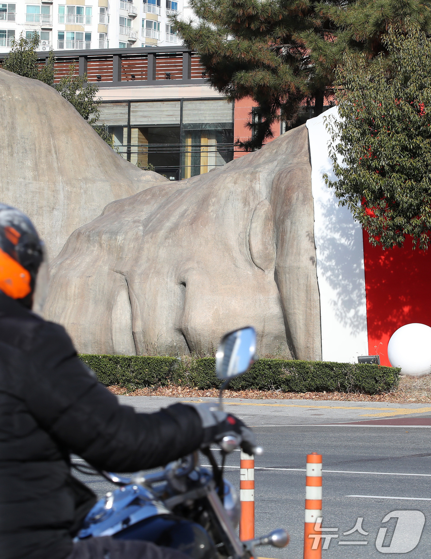 (대구=뉴스1) 공정식 기자 = 포근한 겨울 날씨를 보인 8일 대구 달서구 선사유적공원 진입로에 설치된 거대 원시인 석상 이만옹(二萬翁) 머리에 산타 모자가 설치돼 크리스마스가 다 …