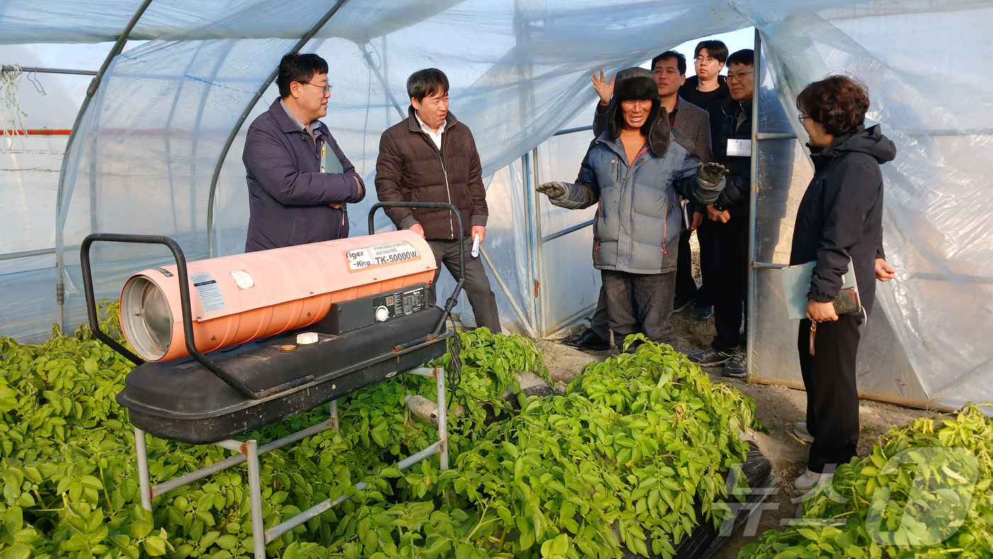 (서울=뉴스1) = 곽도연 농촌진흥청 국립식량과학원장(왼쪽 두 번째)이 8일 전북 부안군 동진면 동진리의 겨울 시설 감자 재배 농가를 방문해 농업인으로부터 한파 대비 감자 동해 피 …