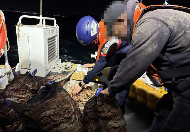 9㎝ 이하 체장미달 어린대게 647마리 잡은 70대 선장 검거