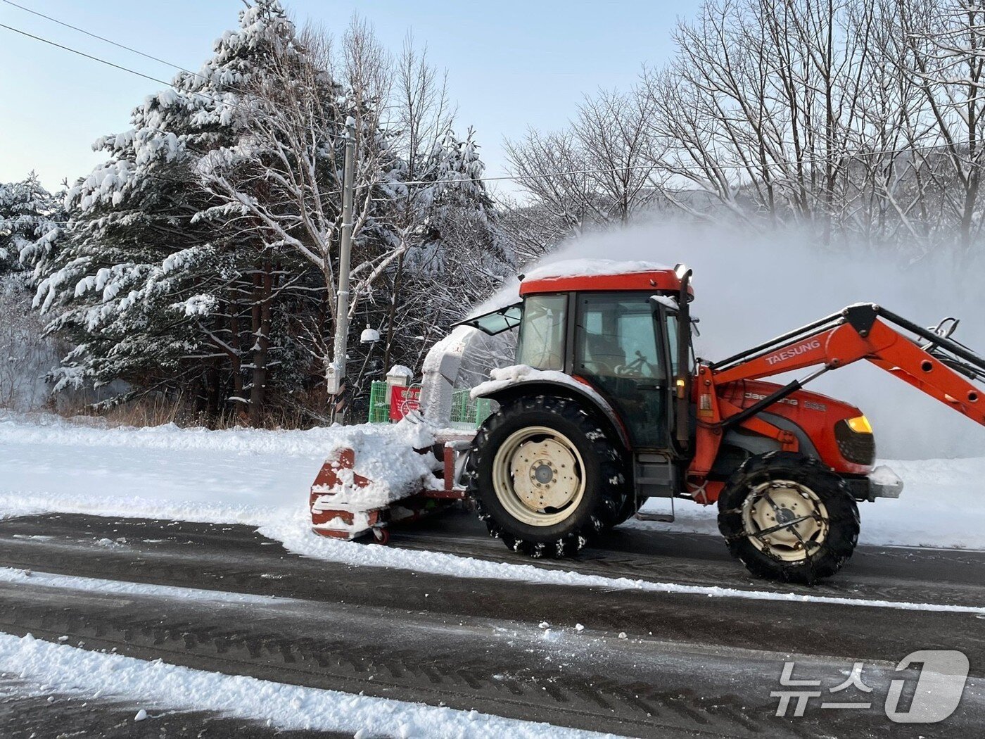 본문 이미지 - 강원 삼척지역 제설작업 자료사진.&#40;삼척시 제공, 재판매 및 DB 금지&#41;