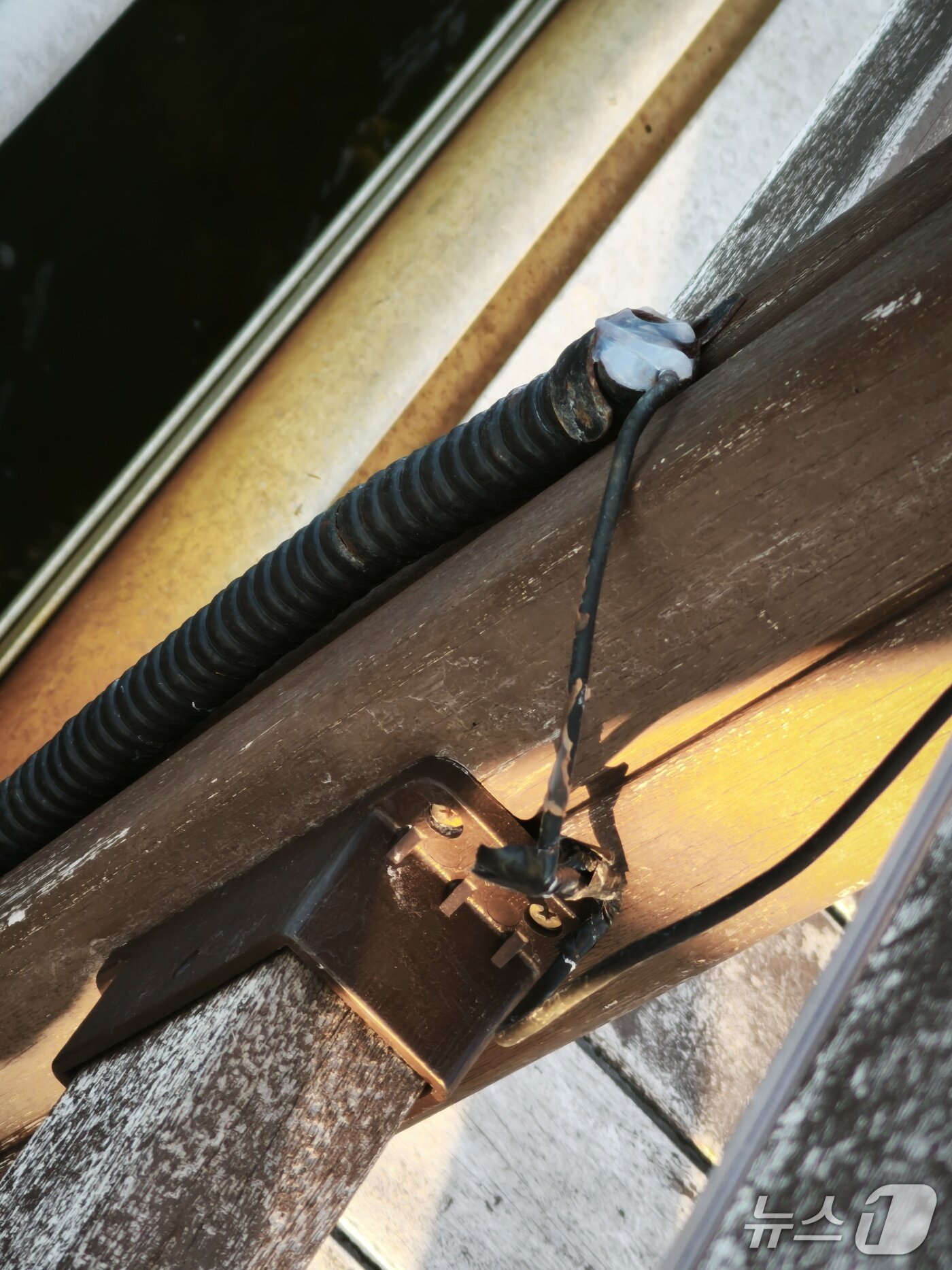 본문 이미지 - 전선이 노출된 영랑호 부교. &#40;속초고성양양환경운동연합 제공, 재판매 및 DB 금지&#41; 2025.12.8/뉴스1