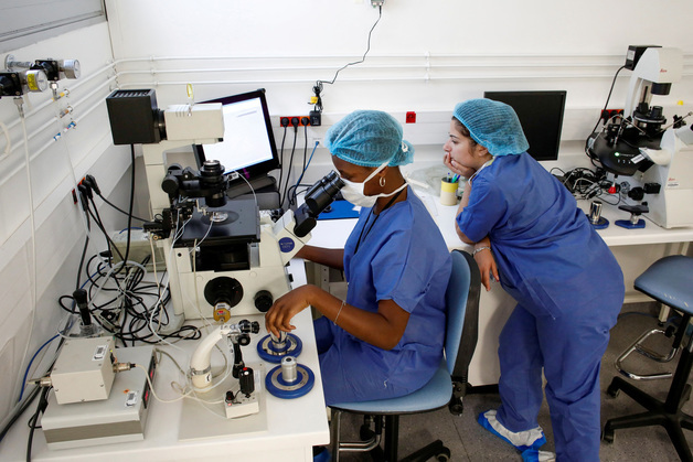 "IQ·키 우월한 아기 낳을래"…英서 '배아 선별' 시험관 시술 논란