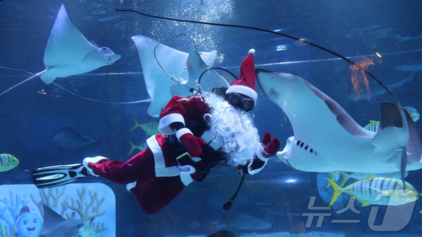 (서울=뉴스1) = 씨라이프 코엑스 아쿠아리움이 다채로운 볼거리로 가득한 특별한 ‘바다 속 크리스마스’ 시즌 이벤트를 진행한다고 9일 밝혔다.공연은 깊은 바닷속에서 한 번도 크리스 …