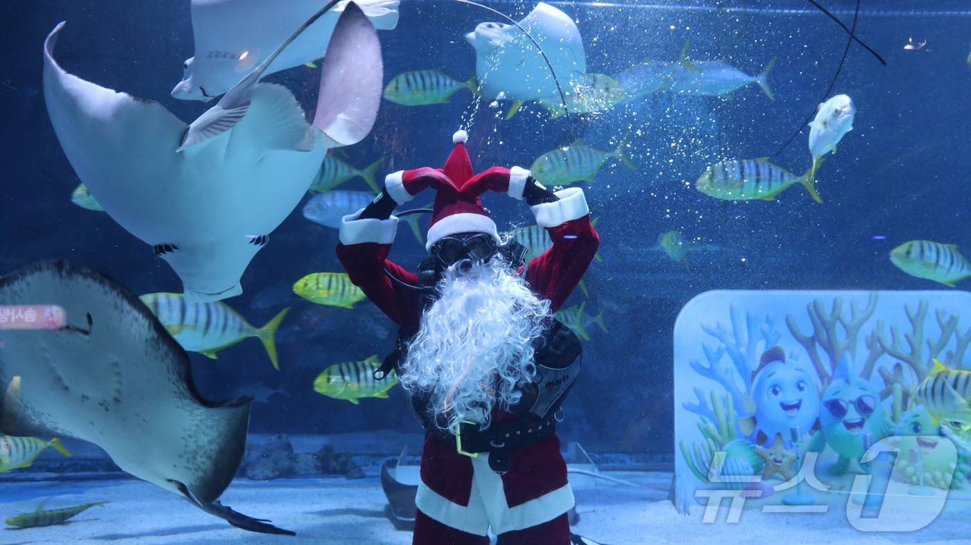 (서울=뉴스1) = 씨라이프 코엑스 아쿠아리움이 다채로운 볼거리로 가득한 특별한 ‘바다 속 크리스마스’ 시즌 이벤트를 진행한다고 9일 밝혔다.공연은 깊은 바닷속에서 한 번도 크리스 …