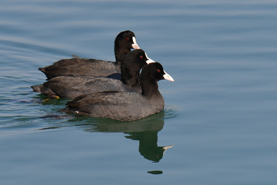 똑같은 모습으로