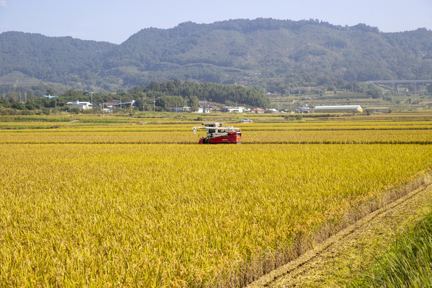 청년농부터 공동영농까지…농식품부, 농지 지원 구조 전면 손질