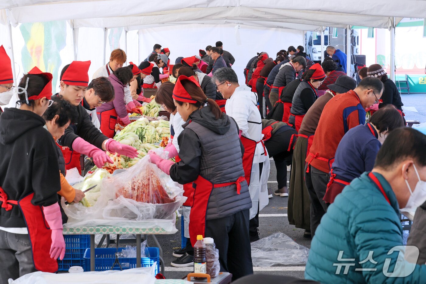 본문 이미지 - 전북 임실군에서 아삭아삭 김장페스티벌이 열 리고 있다.&#40;임실군제공. 재판매 및 DB금지&#41;2025.12.9/뉴스1