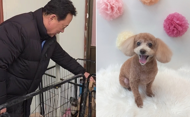 어기구 의원의 12살 푸들 '어수선'…이름 사연에 봉사 현장 웃음꽃