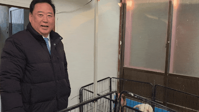 본문 이미지 - 어기구 농림축산식품해양수산회 위원장이 당진에 있는 보호소를 찾아 보호견들을 살펴보고 있다&#40;국경없는수의사회 제공&#41;. ⓒ 뉴스1