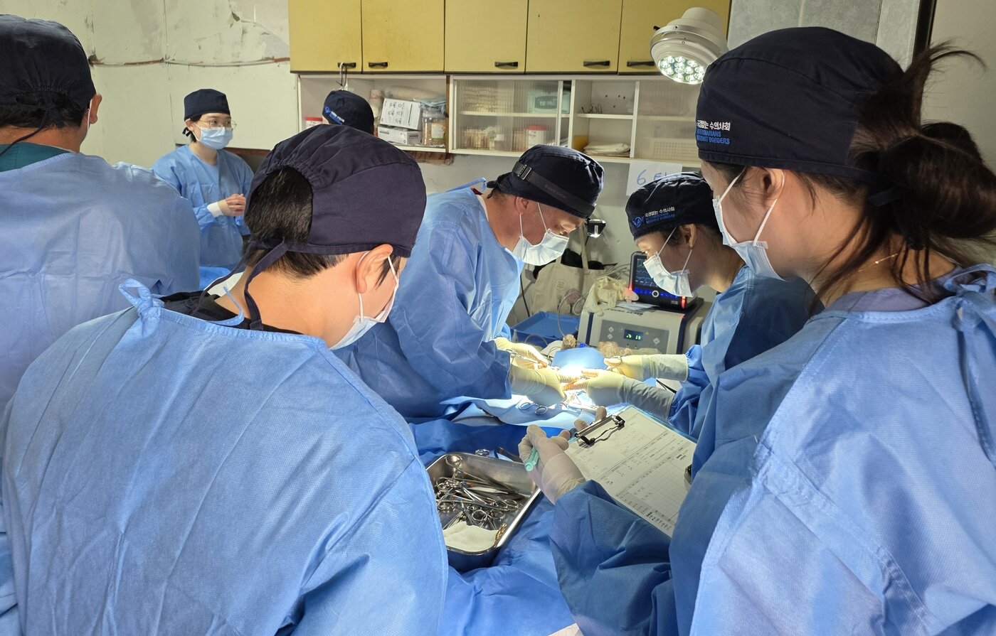 본문 이미지 - 국경없는수의사회 소속 수의사들이 보호견들의 중성화 수술을 하고 있다&#40;수의사회 제공&#41;. ⓒ 뉴스1