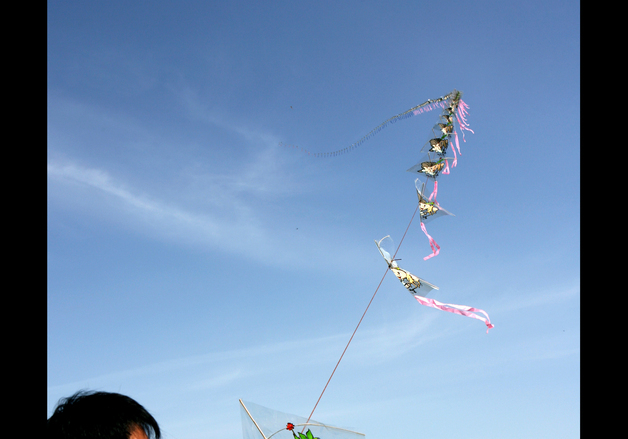 추억의 겨울놀이 즐기자…단양군 '1회 겨울놀이 축제' 개최