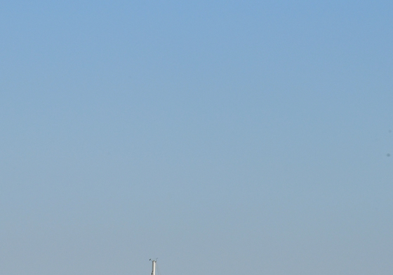 겨울 바다로 가자