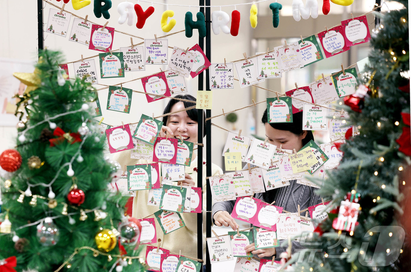 (광주=뉴스1) 박지현 기자 = 9일 광주 북구 운암도서관에서 직원들이 \'도서관과 함께하는 크리스마스\' 연말 특별 프로그램으로 도서관 이용객들을 위해 나만의 소원트리 만들기 테 …