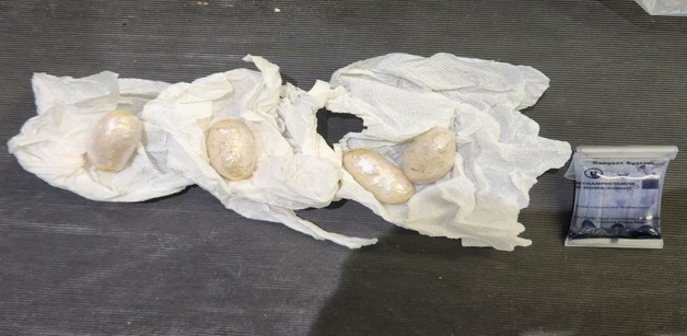 5830명 투약분 엑스터시 신체에 숨겨 밀반입한 네덜란드인 검거