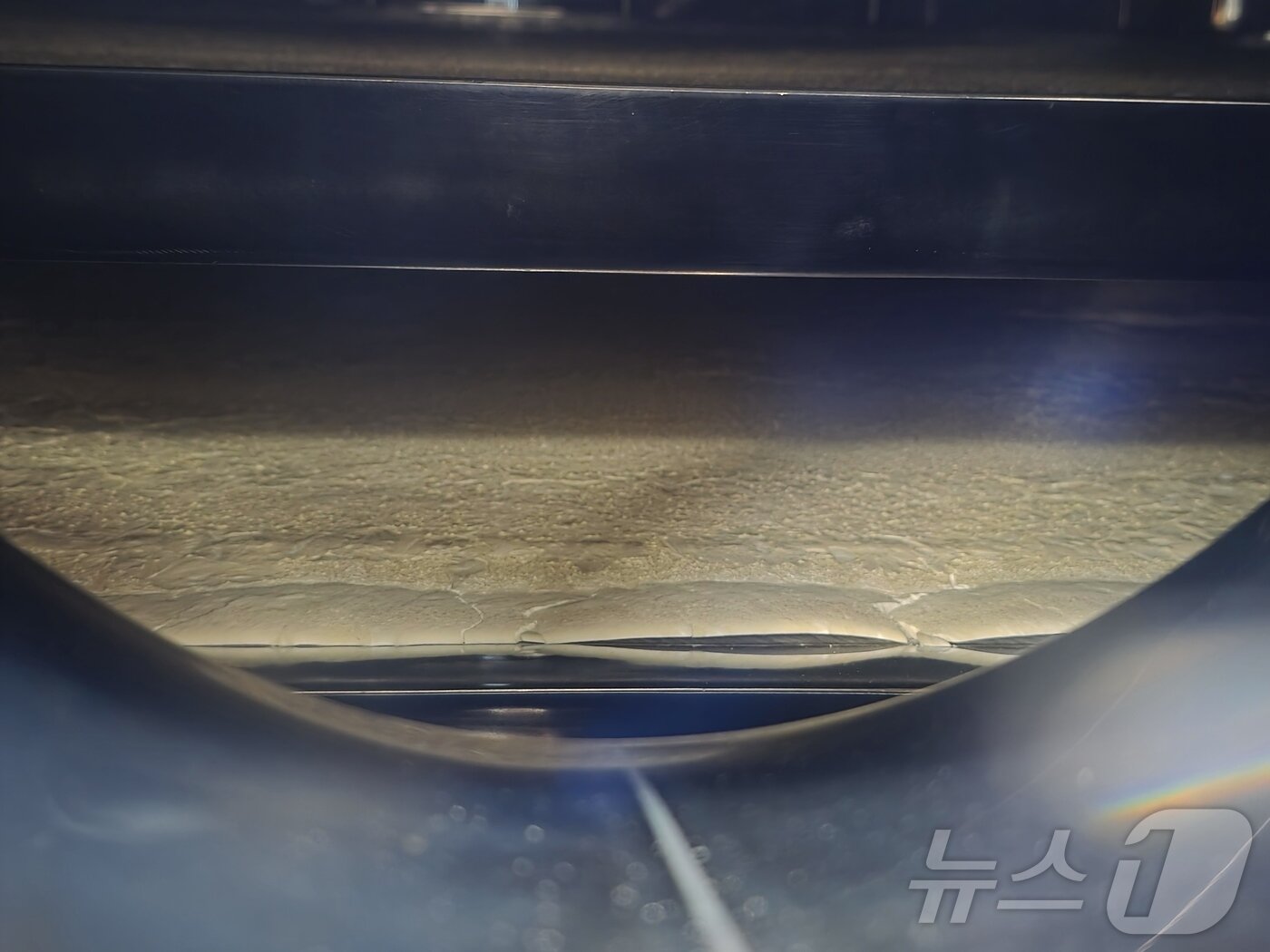 본문 이미지 - hy 평택공장 프로바이오틱스 플랜트에서 동결 건조 중인 균주 제품. ⓒ News1 이형진 기자