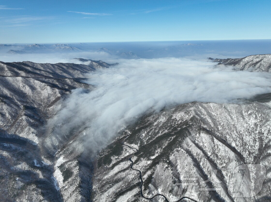 본문 이미지 - 충북 소백산북부사무소가 지난 1일 드론으로 촬영한 소백산 정상 인근 모습.(소백산북부사무소)/뉴스1 
