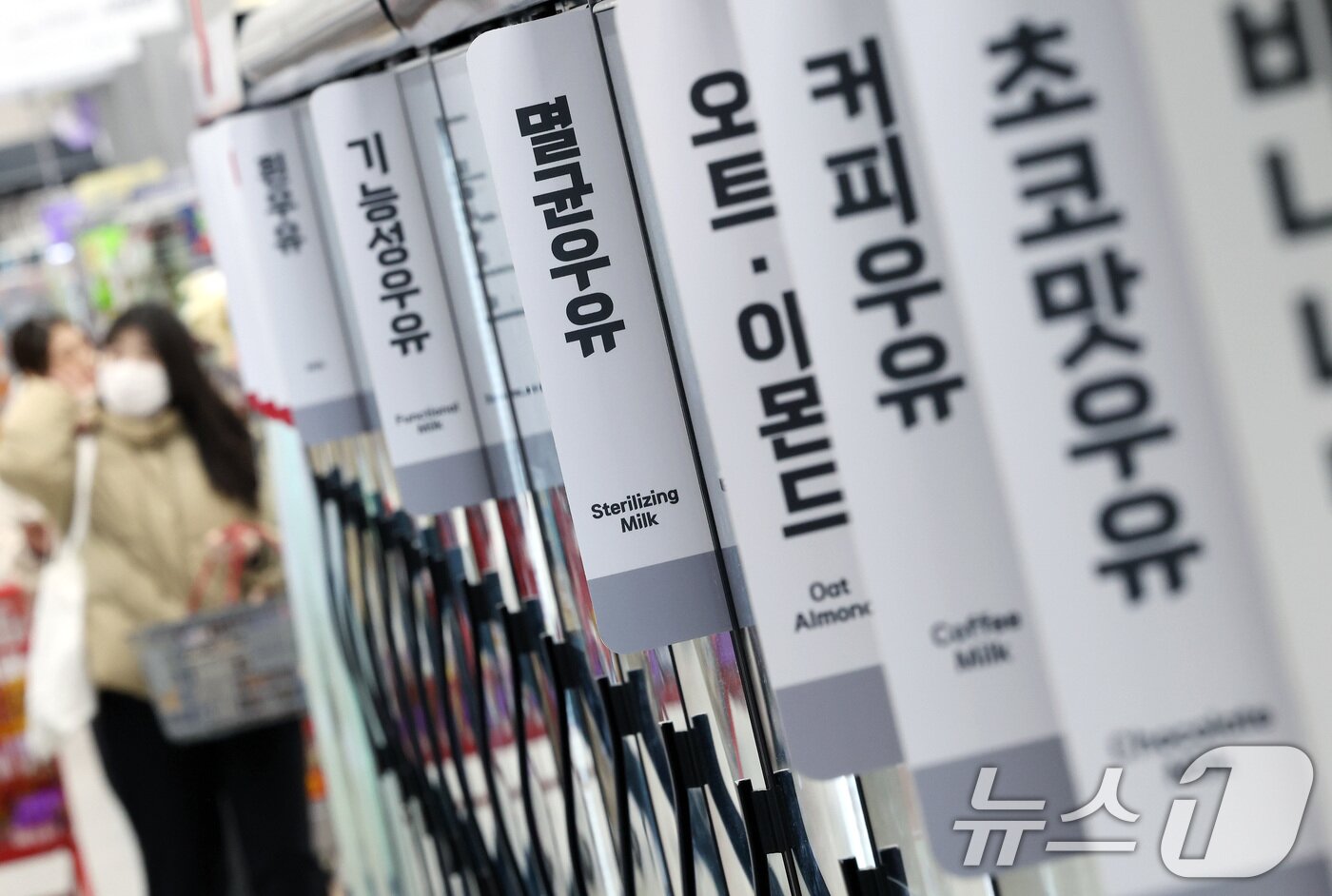 본문 이미지 - 출산율 저하로 국내 우유 소비량이 감소하는 반면 가성비 좋은 수입 멸균 우유 수입이 늘고 있는 11일 서울 시내 한 대형마트에서 시민들이 멸균 우유를 비롯한 유지방 제품이 진열된 코너를 둘러보고 있다. 2025.2.11/뉴스1 ⓒ News1 이동해 기자