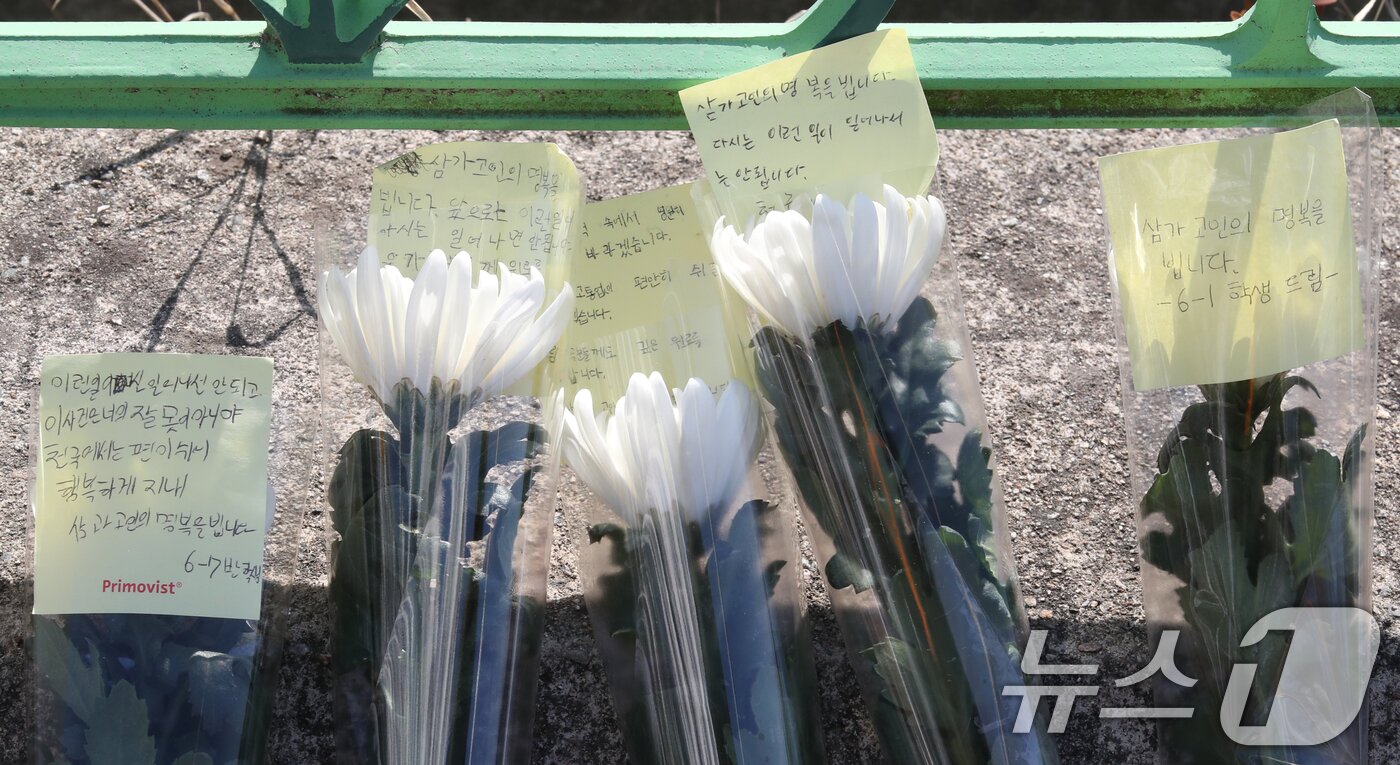 본문 이미지 - 지난 10일 대전 서구 한 초등학교에서 1학년 A양이 교사에 의해 흉기에 찔려 사망하는 사고가 발생했다. 11일 범행이 발생한 학교입구에 A양을 추모하는 국화꽃과 메모가 놓여 있다. 2025.2.11/뉴스1 ⓒ News1 김기태 기자
