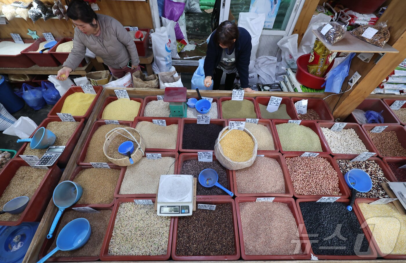 본문 이미지 - 정월 대보름을 하루 앞둔 지난 11일 인천 중구 수인곡물시장을 찾은 시민들이 오곡밥을 지을 곡물을 고르고 있다. 2025.2.11/뉴스1 ⓒ News1 김도우 기자