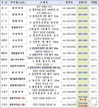 본문 이미지 - 2025 부산시 공공심야약국 지정·운영 현황(부산시청 제공)