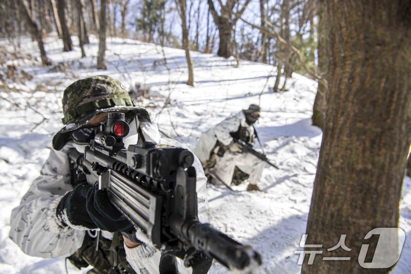 본문 이미지 - 해병대사령부는 해병대 특수수색대대와 1·2사단 수색대대가 지난 4일부터 오는 28일까지 평창 산악종합훈련장과 황병산 일대에서 실시된  '2025년 동계 설한지 훈련'을 하고 있다. (해병대사령부 제공. 재판매 및 DB 금지) 2025.2.12/뉴스1