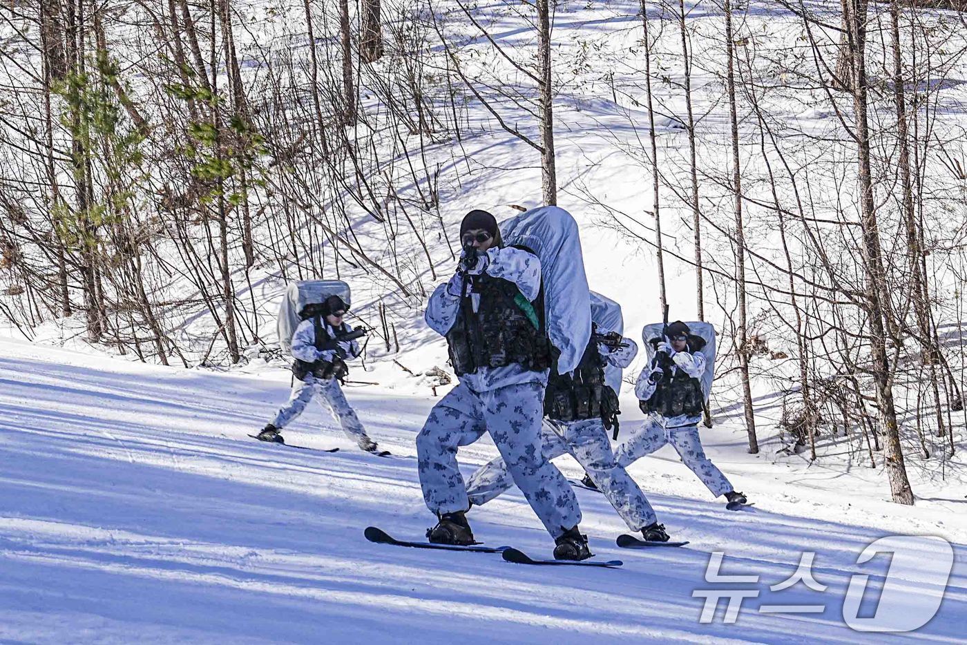 본문 이미지 - 해병대사령부는 해병대 특수수색대대와 1·2사단 수색대대가 지난 4일부터 오는 28일까지 평창 산악종합훈련장과 황병산 일대에서 실시된  '2025년 동계 설한지 훈련'에서 스키를 이용 적진에 침투하고 있다. (해병대사령부 제공. 재판매 및 DB 금지) 2025.2.12/뉴스1