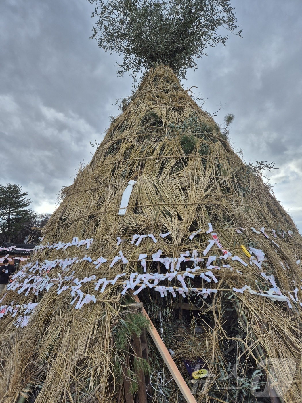(강릉=뉴스1) 윤왕근 기자 = 정월대보름인 12일 오후 강원 강릉단오제전수교육관 앞 남대천 둔치에서 열린 \'강릉 망월제\'에 올 한해 무탈과 안녕을 비는 소원지가 걸려있다. 정 …