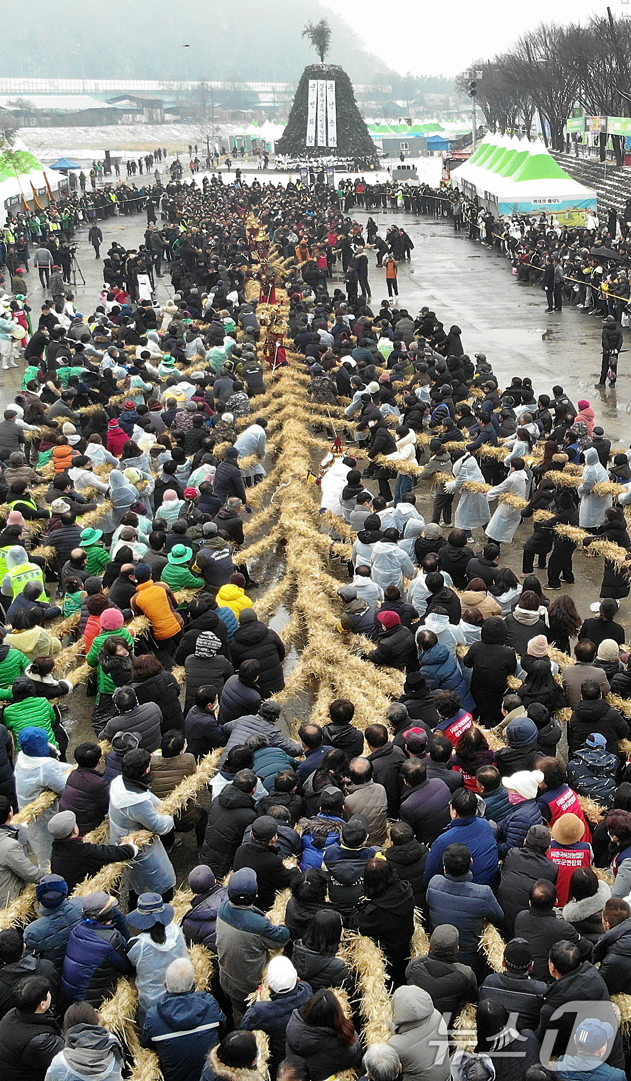 (청도=뉴스1) 공정식 기자 = 정월대보름인 12일 오후 경북 청도군 청도천 둔치에서 주민들이 군민화합과 풍년농사를 기원하는 '도주 줄당기기'를 하고 있다. 2025.2.12/뉴스 …