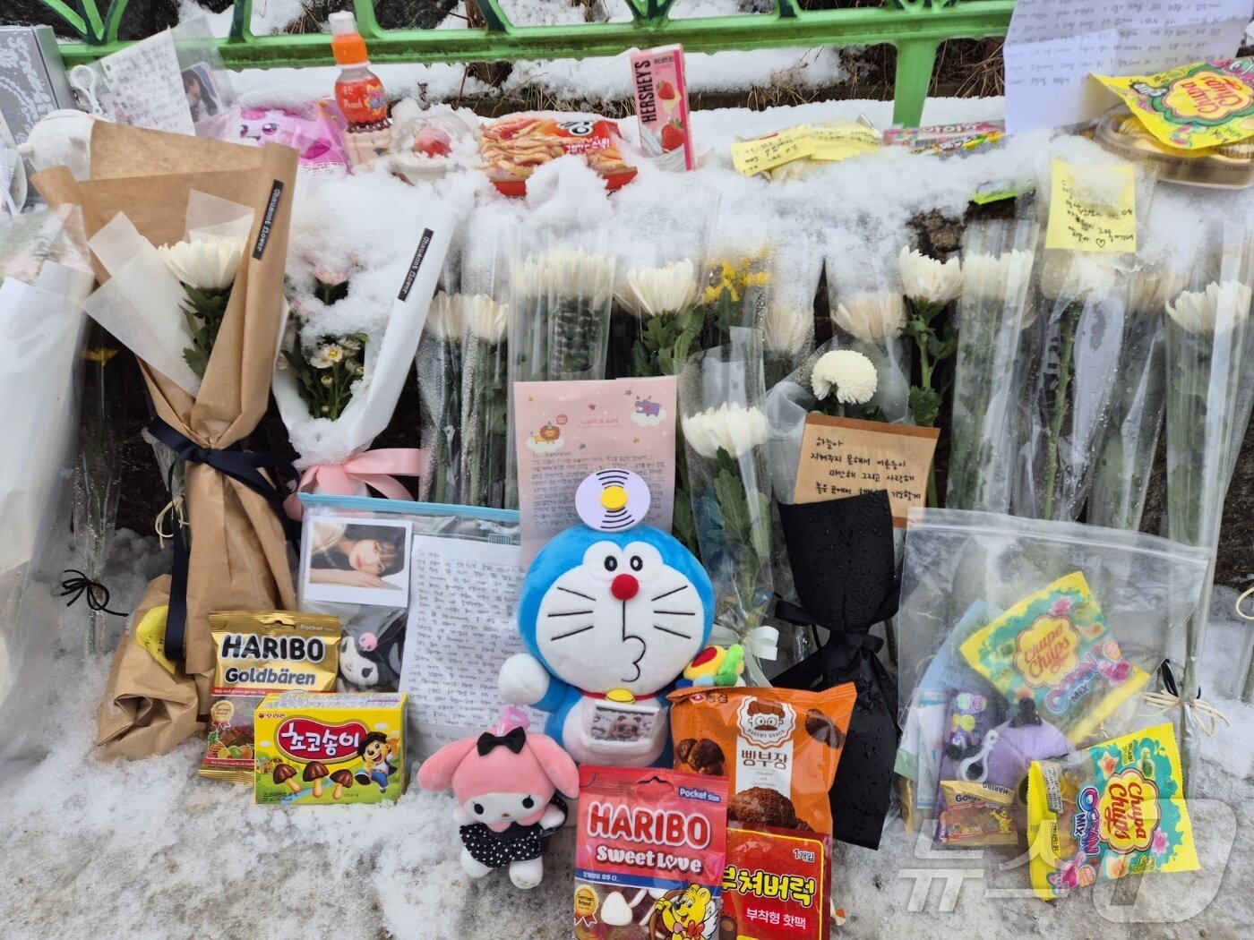 본문 이미지 -  대전 서구 초등학교 정문 옆 울타리 앞에 놓인 꽃다발과 선물. 2025.2.12/뉴스1 ⓒ News1 최형욱 기자