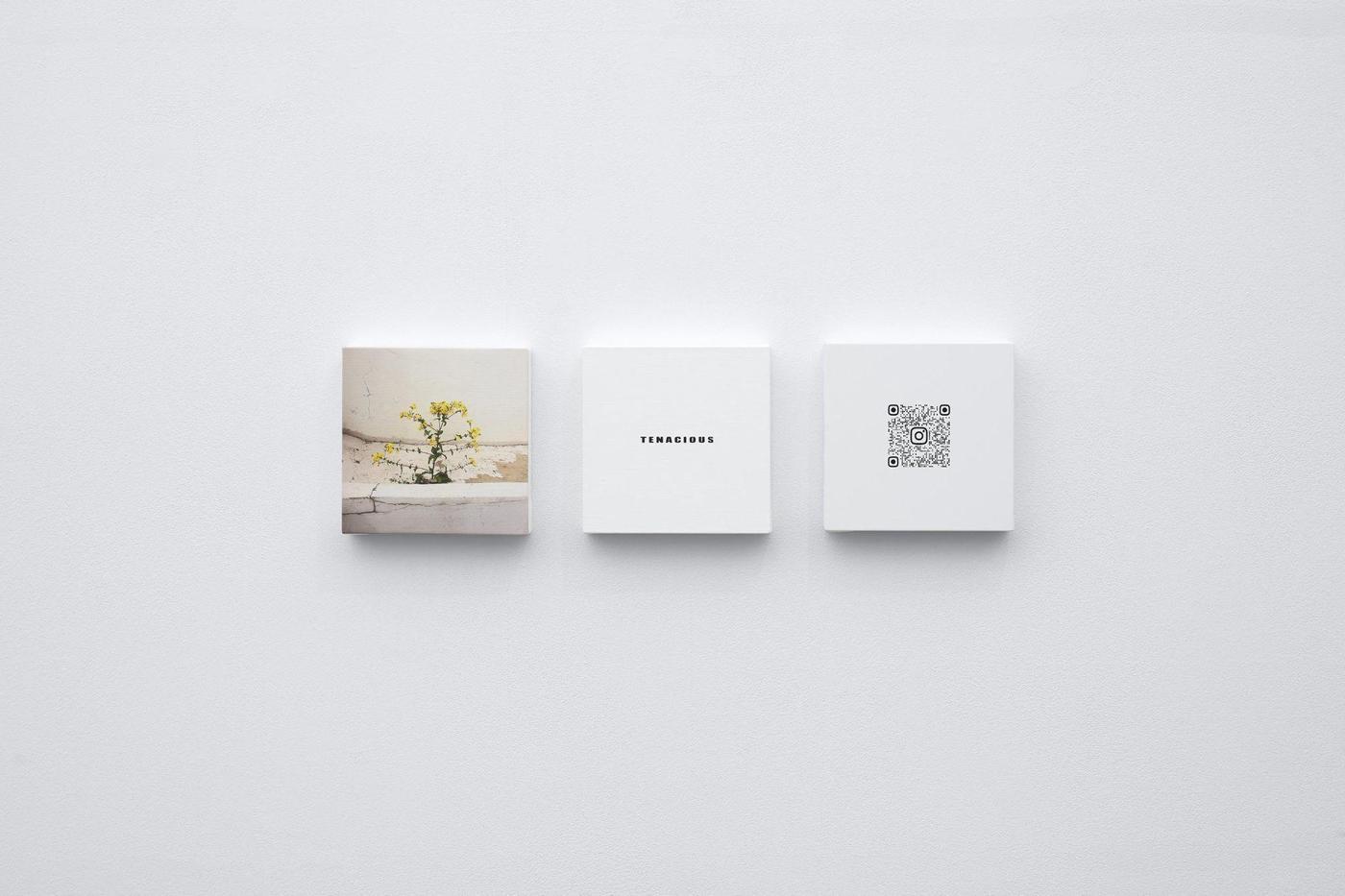 본문 이미지 - 김윤호, 〈고들빼기&gt;, 2017-2025. 캔버스에 피그먼트 프린트와 캔버스에 아크릴릭, 각 20 x 20 cm. ⓒ작가, 원앤제이 갤러리. 촬영: 아티팩츠. &#40;원앤제이 갤러리 제공&#41;