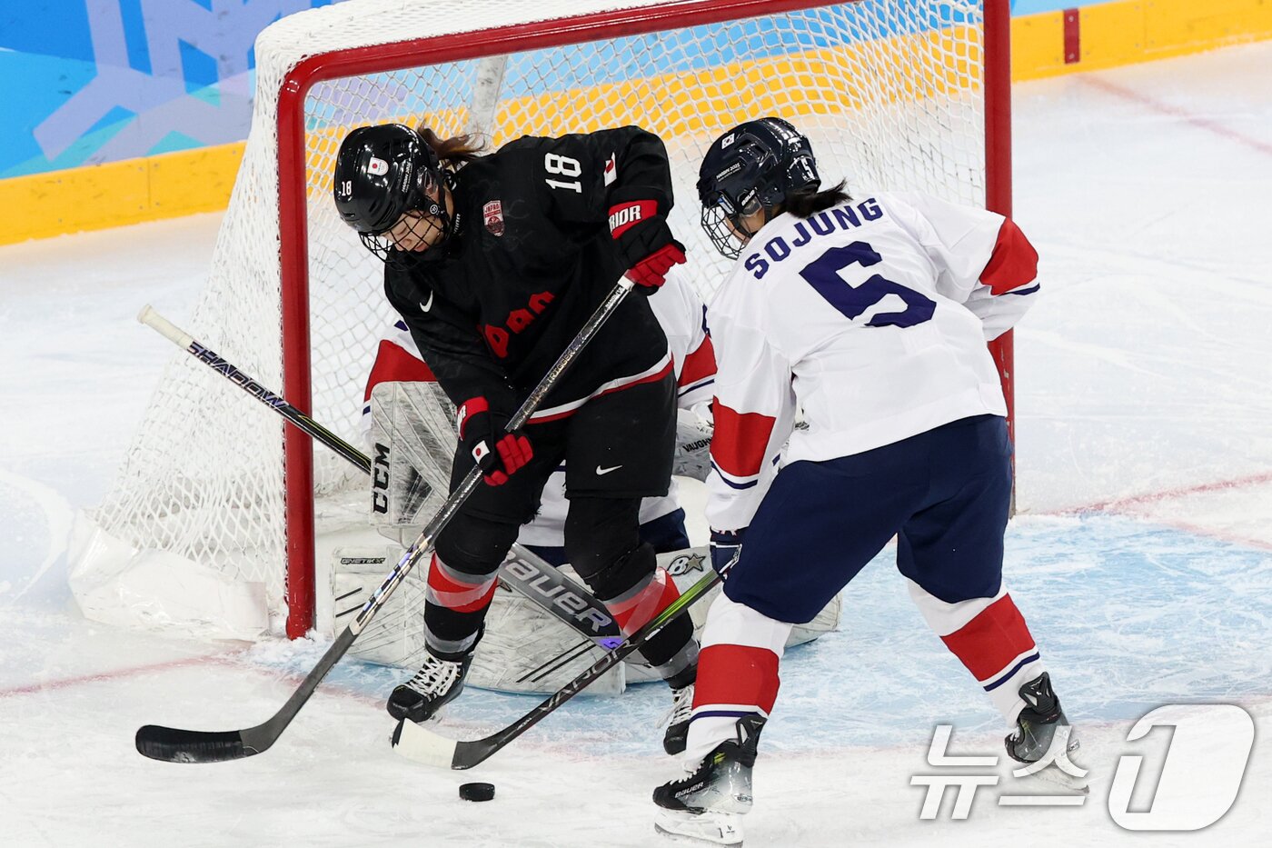 본문 이미지 - 13일 중국 헤이룽장성 하얼빈 스포츠대학 학생 스케이트장에서 열린 하얼빈 동계아시안게임 여자 아이스하키 본선 한국과 일본의 경기에서 이소정이 수비에 가담하고 있다. 2025.2.13/뉴스1 ⓒ News1 이승배 기자