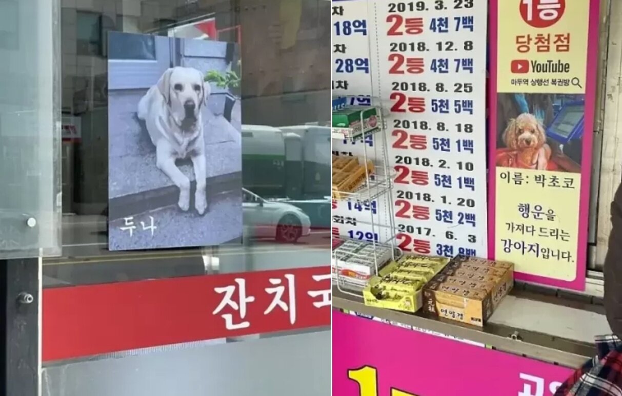 본문 이미지 - 다짜고짜 강아지 자랑하는 가게 사장님들. &#40;온라인 커뮤니티 갈무리&#41;