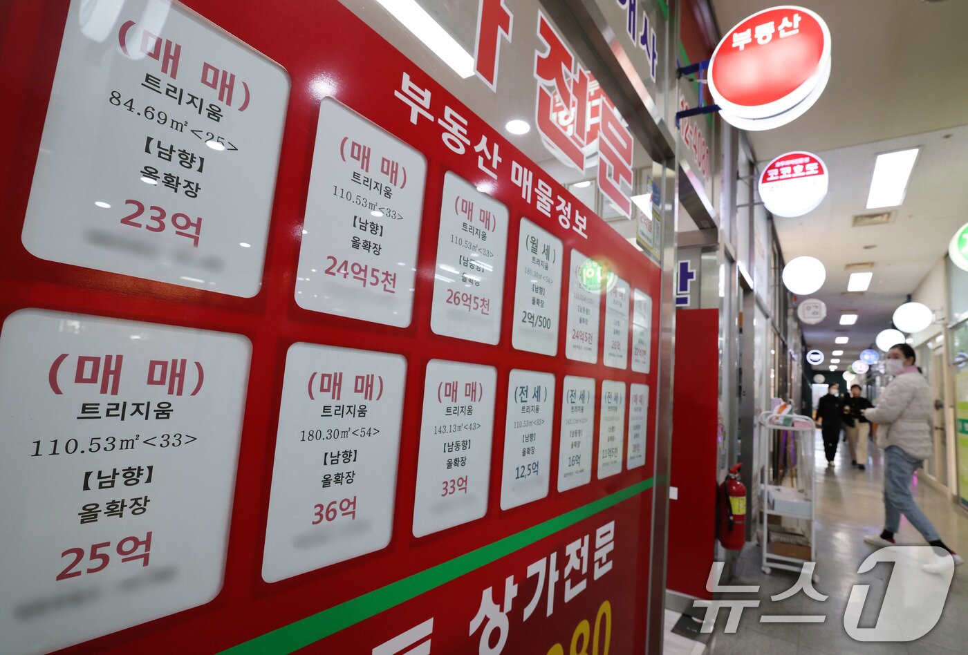 본문 이미지 - 13일 서울 송파구의 한 부동산중개업소에 잠실 아파트단지 매물정보가 붙어있다. 2025.2.13/뉴스1 ⓒ News1 박세연 기자