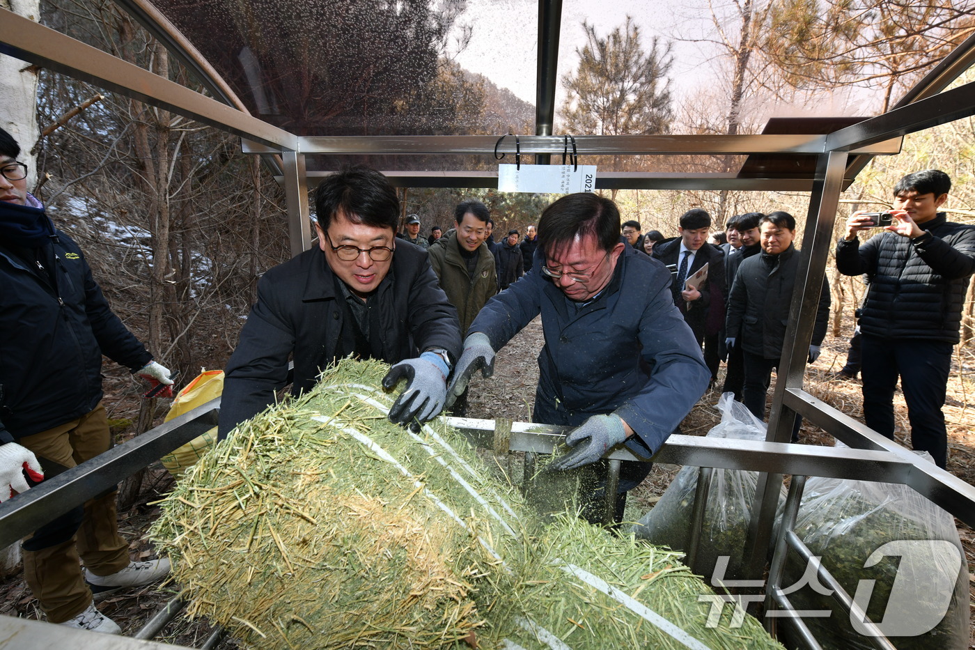 (서울=뉴스1) = 최응천 국가유산청장(왼쪽)이 14일 오전 겨울철 먹이 부족으로 인한 천연기념물 산양의 폐사 방지를 위해 강원 양구군 방산면 천미리 일원에 설치된 먹이급이대를 찾 …